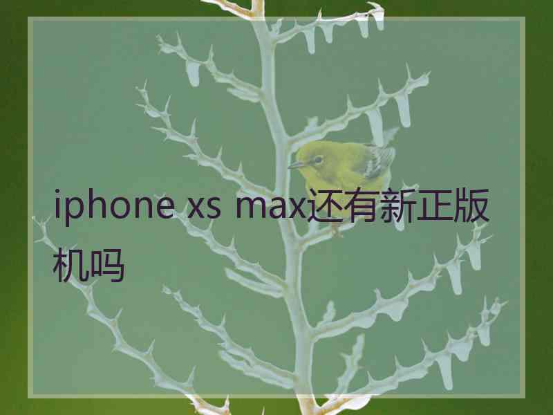 iphone xs max还有新正版机吗