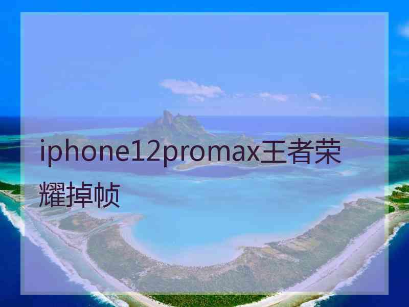 iphone12promax王者荣耀掉帧