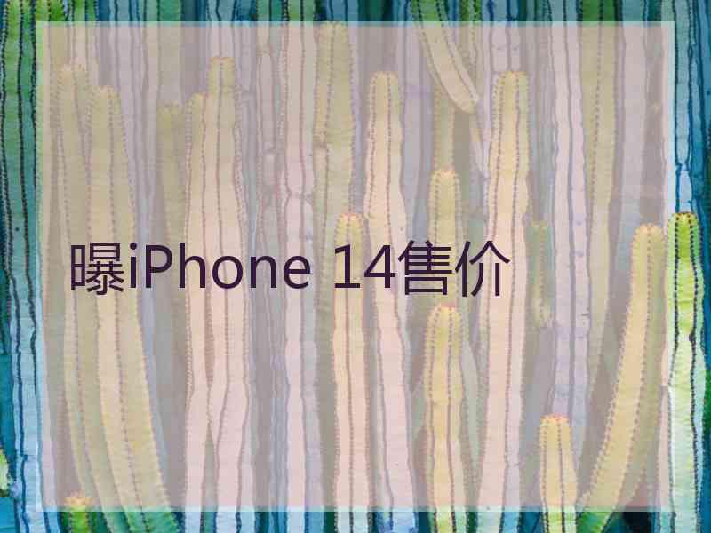 曝iPhone 14售价