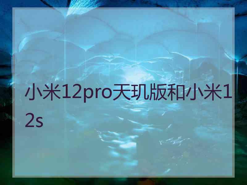 小米12pro天玑版和小米12s