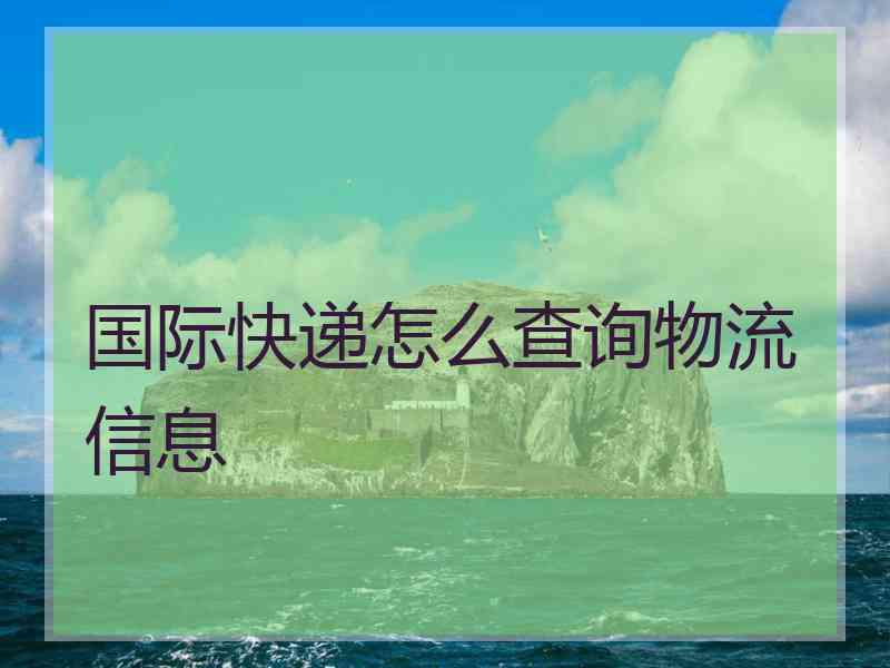 国际快递怎么查询物流信息