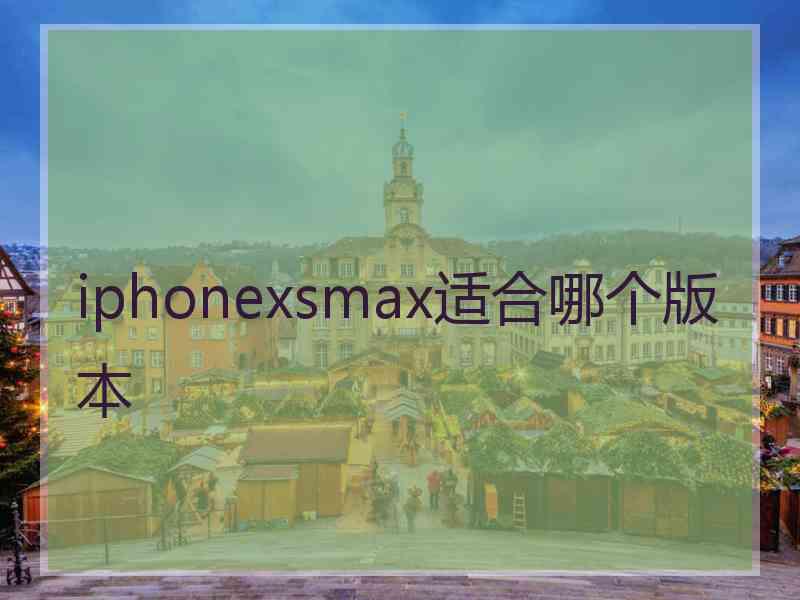 iphonexsmax适合哪个版本