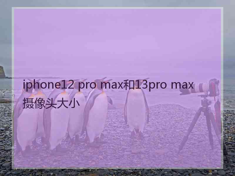 iphone12 pro max和13pro max摄像头大小