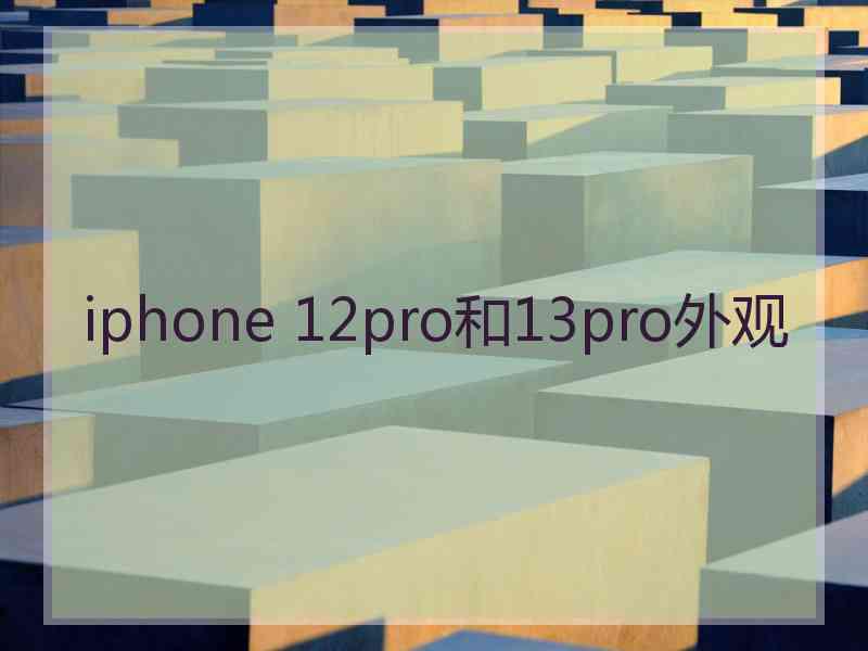 iphone 12pro和13pro外观