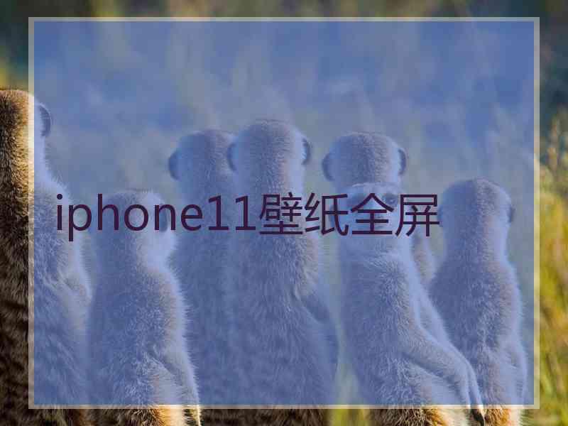 iphone11壁纸全屏