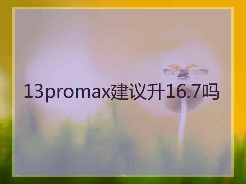 13promax建议升16.7吗