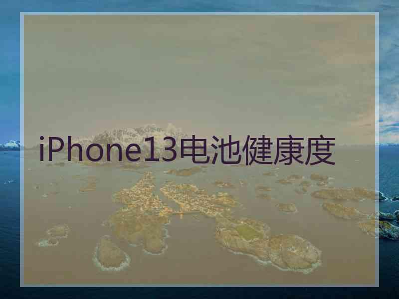 iPhone13电池健康度