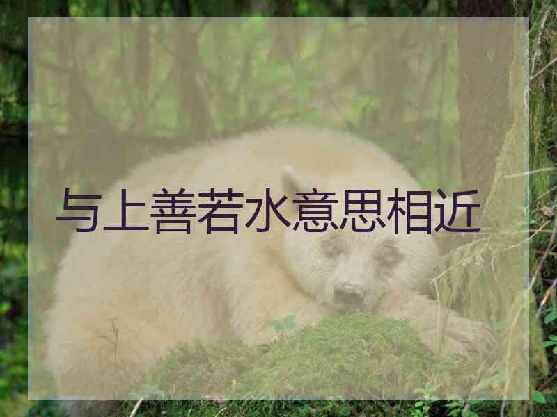 与上善若水意思相近