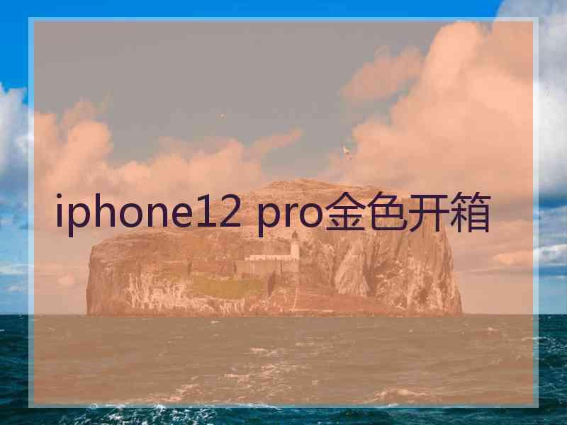 iphone12 pro金色开箱