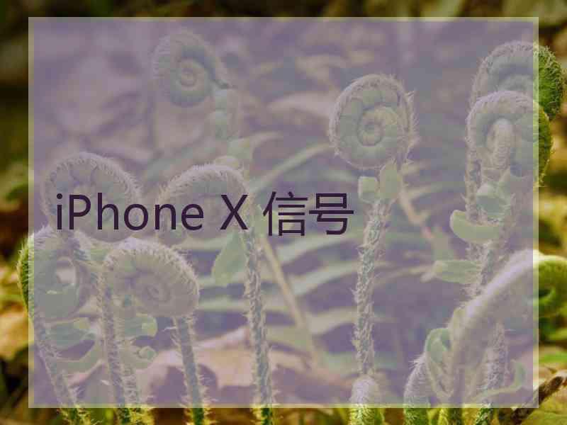 iPhone X 信号