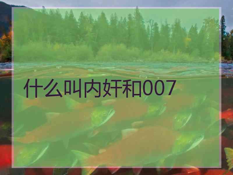 什么叫内奸和007