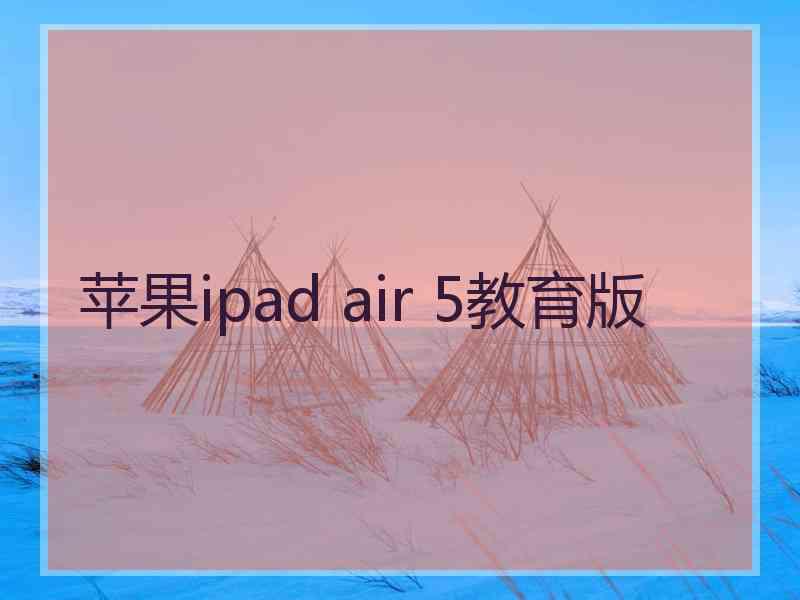 苹果ipad air 5教育版