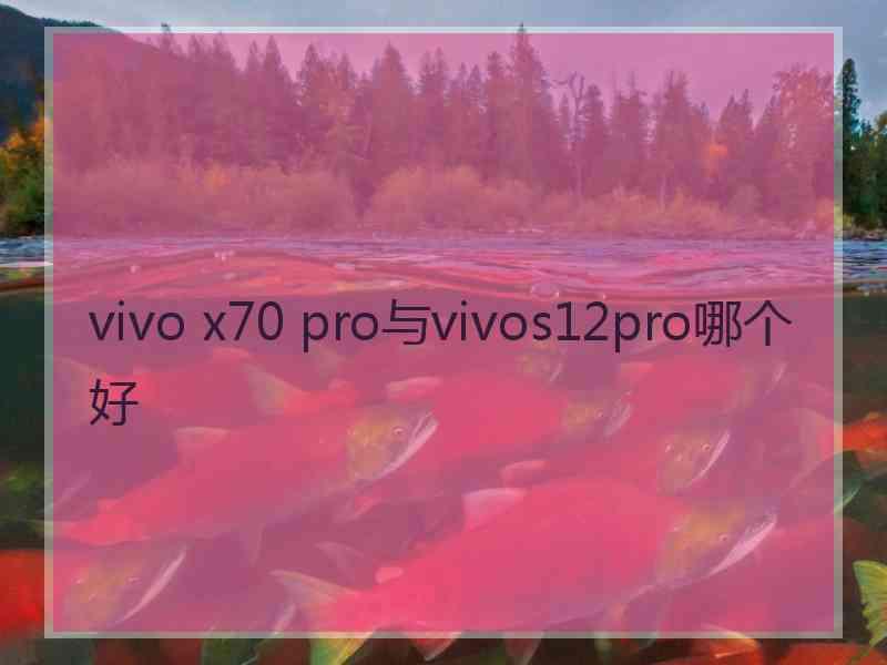 vivo x70 pro与vivos12pro哪个好