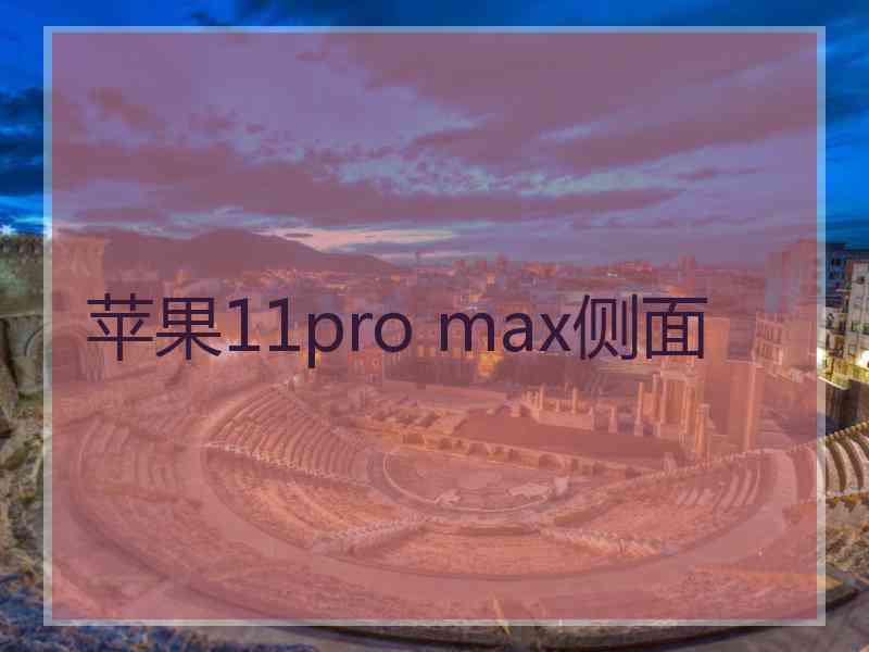 苹果11pro max侧面