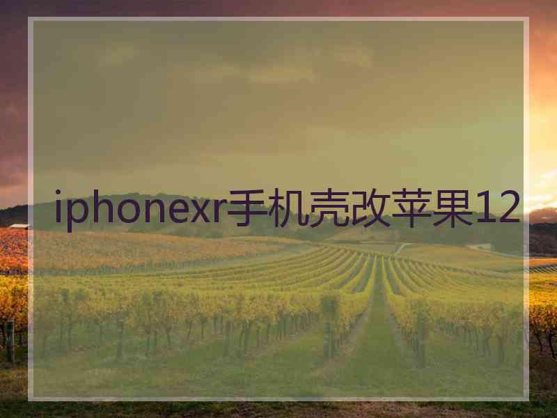 iphonexr手机壳改苹果12