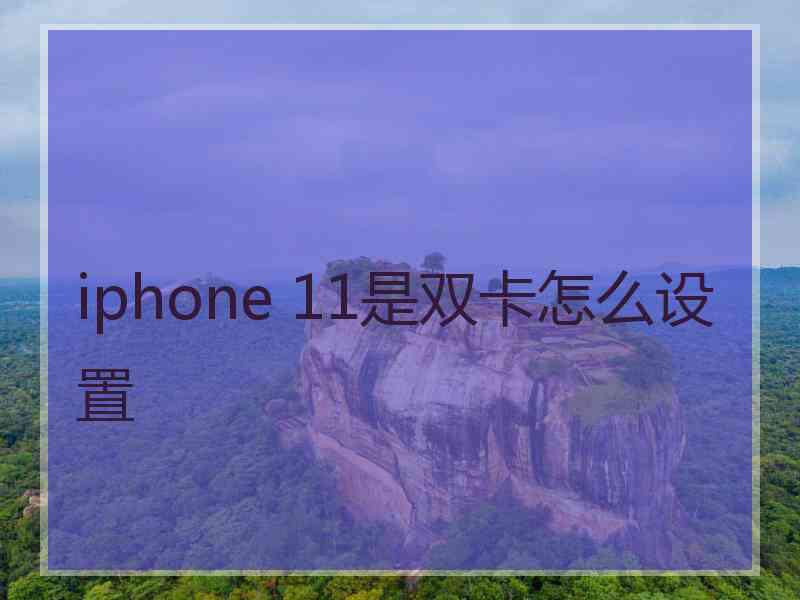 iphone 11是双卡怎么设置