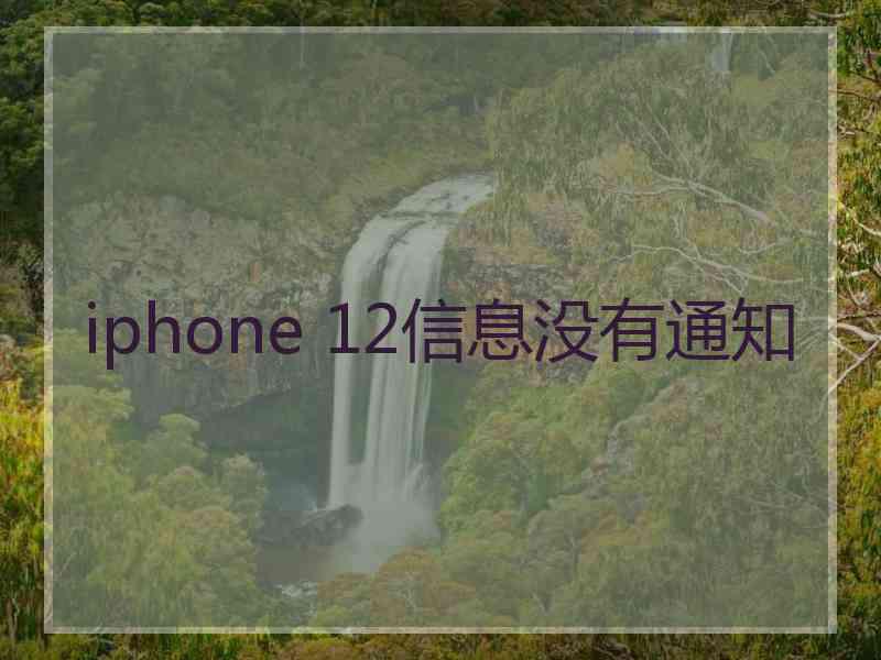 iphone 12信息没有通知