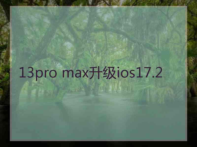 13pro max升级ios17.2