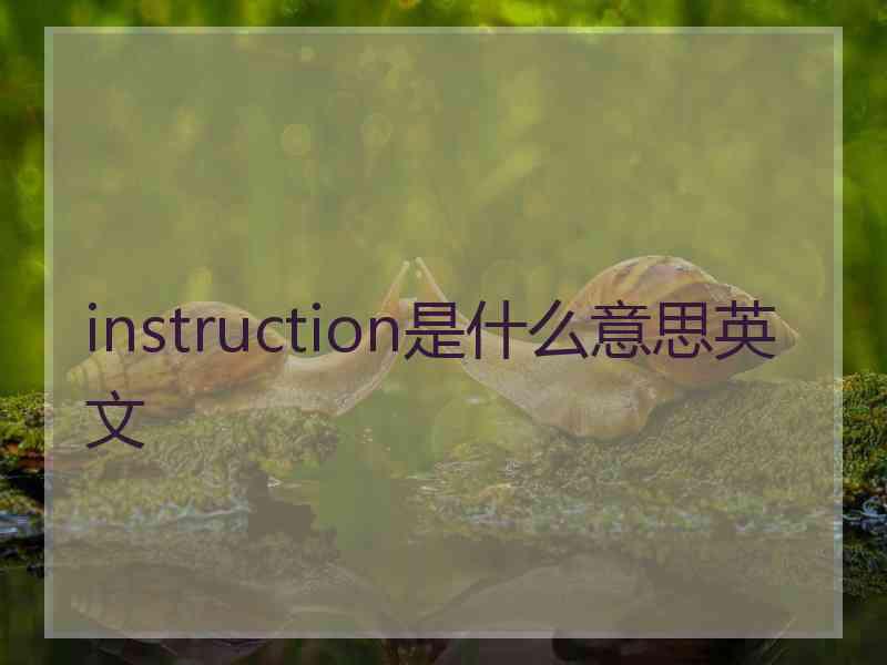 instruction是什么意思英文