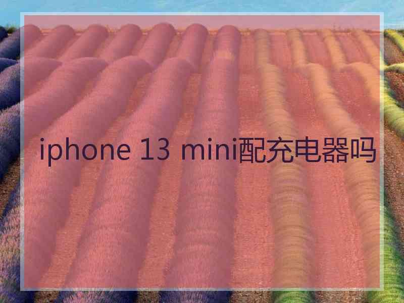 iphone 13 mini配充电器吗