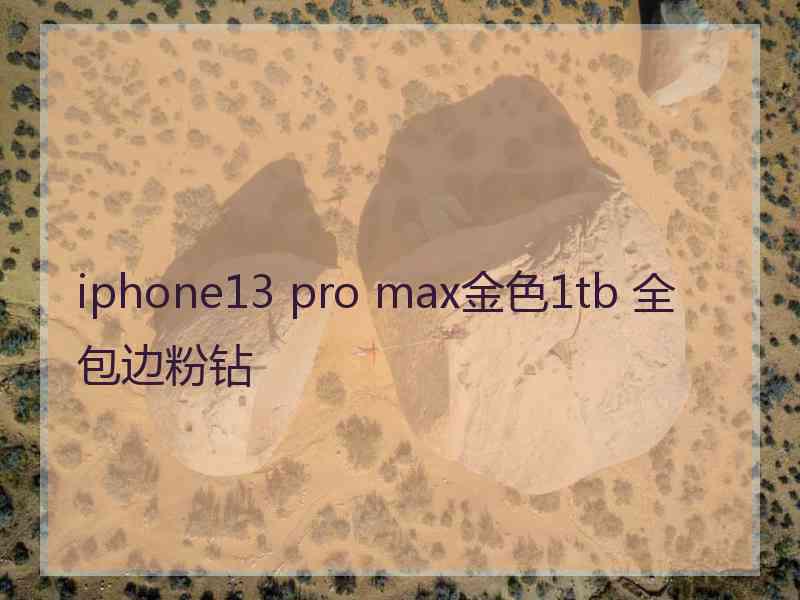 iphone13 pro max金色1tb 全包边粉钻