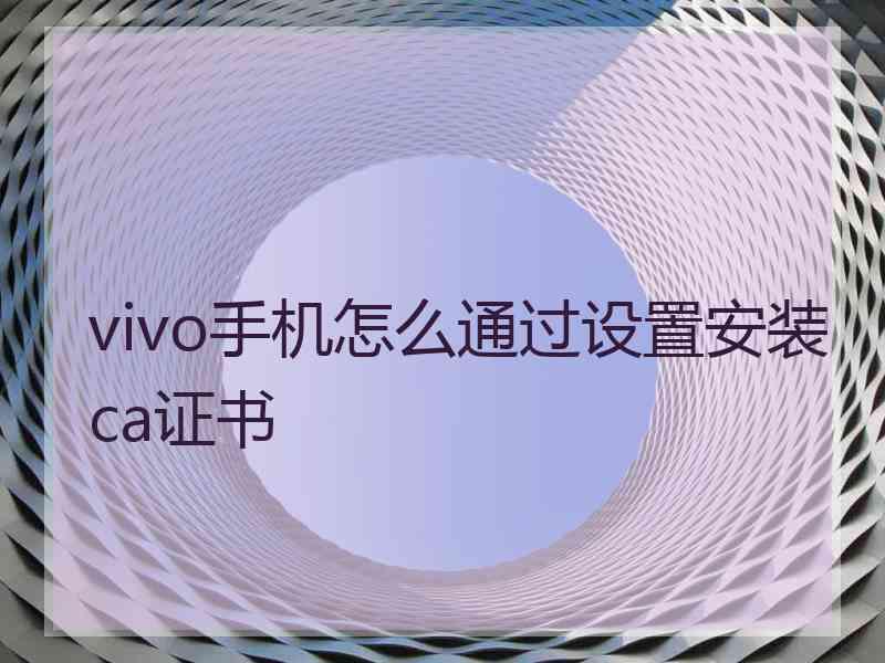 vivo手机怎么通过设置安装ca证书