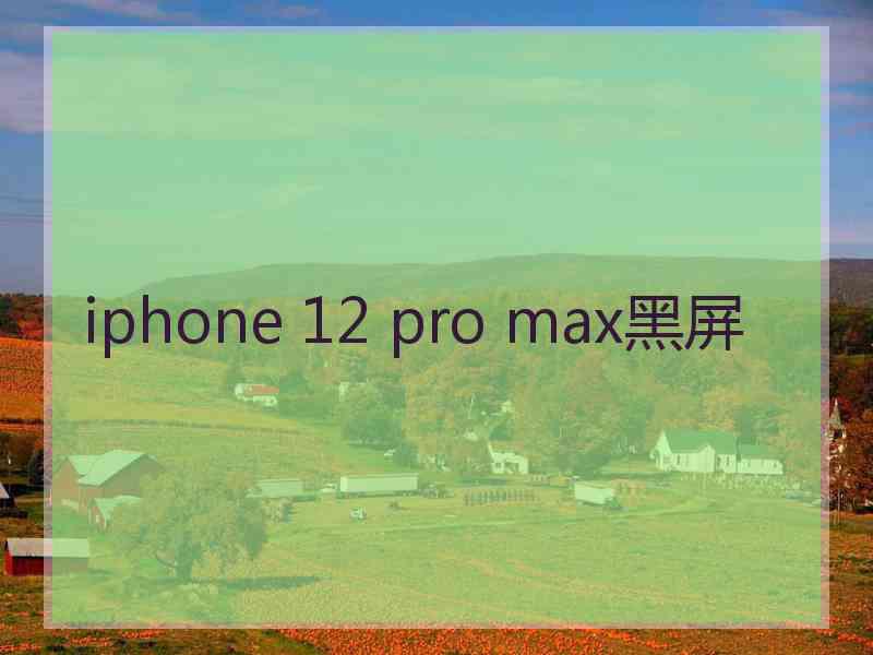 iphone 12 pro max黑屏