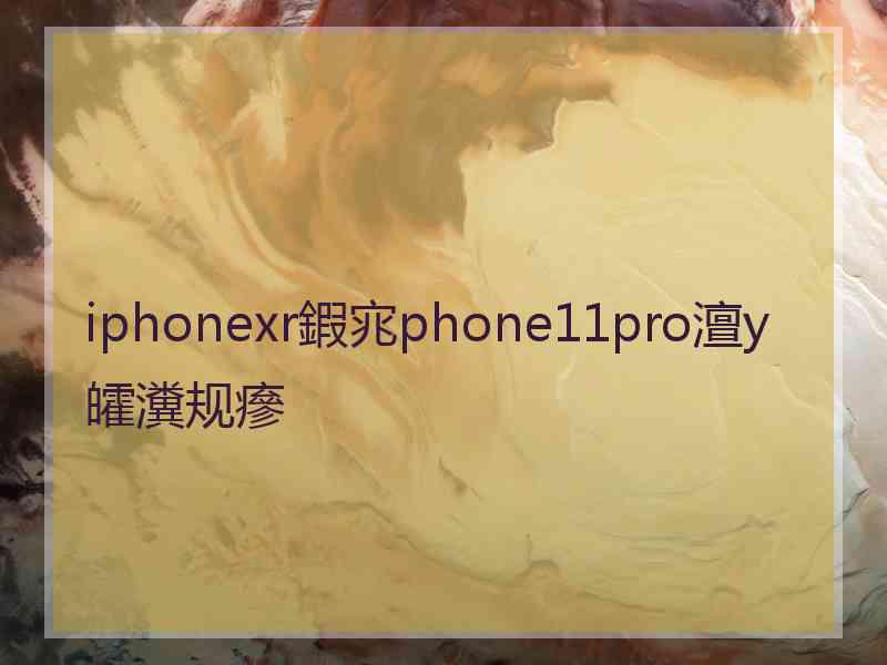 iphonexr鍜宨phone11pro澶у皬瀵规瘮