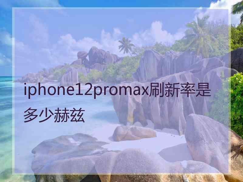 iphone12promax刷新率是多少赫兹