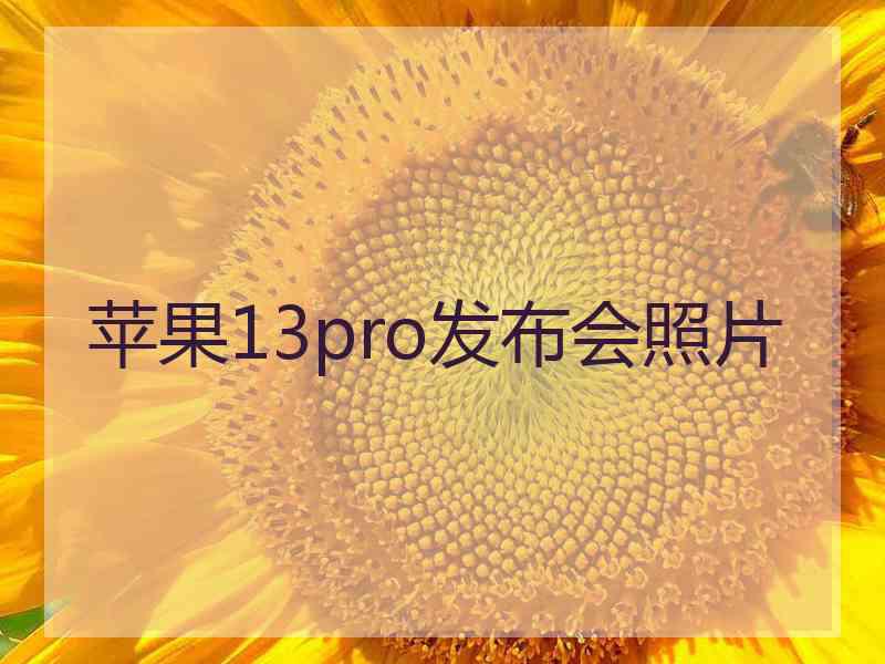 苹果13pro发布会照片