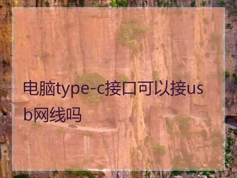 电脑type-c接口可以接usb网线吗