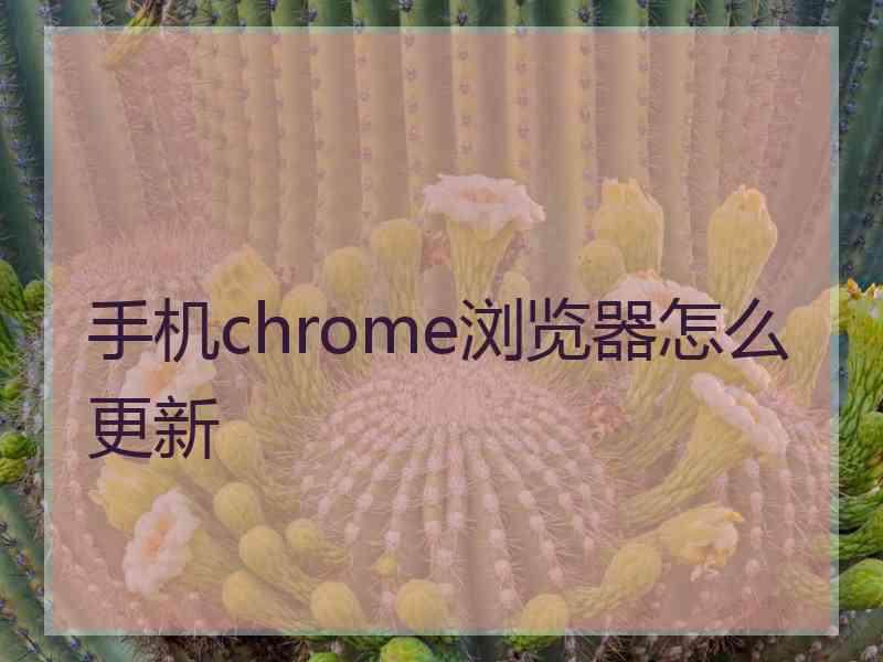 手机chrome浏览器怎么更新