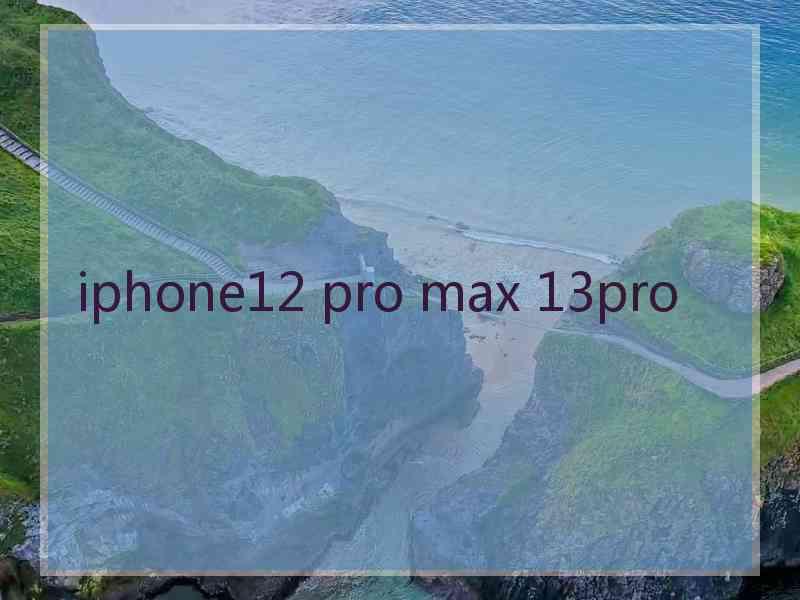 iphone12 pro max 13pro