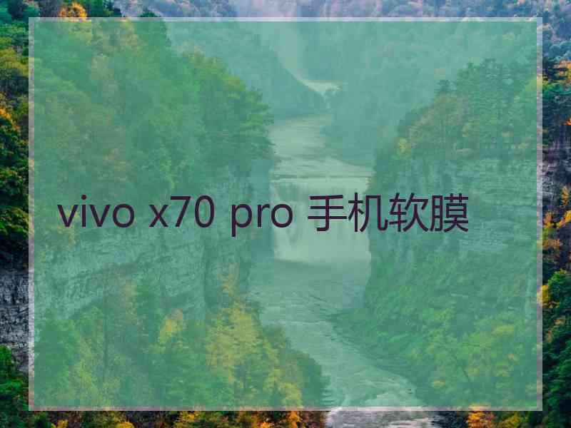 vivo x70 pro 手机软膜