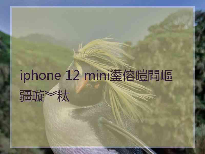 iphone 12 mini鍙傛暟閰嶇疆璇︾粏