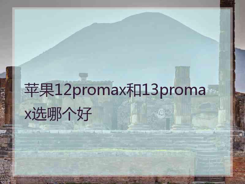 苹果12promax和13promax选哪个好