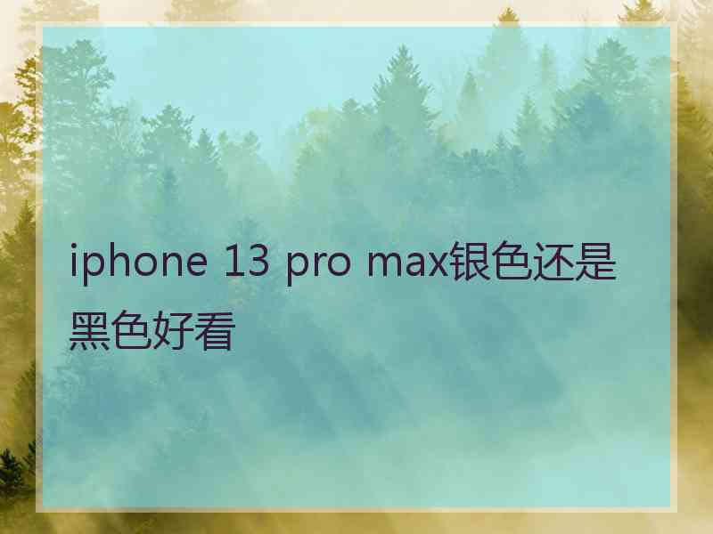 iphone 13 pro max银色还是黑色好看