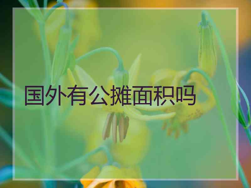 国外有公摊面积吗