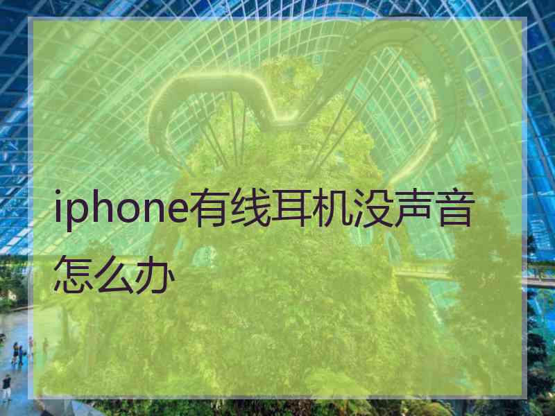 iphone有线耳机没声音怎么办