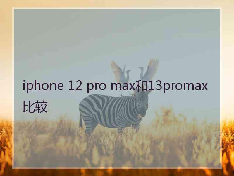 iphone 12 pro max和13promax比较