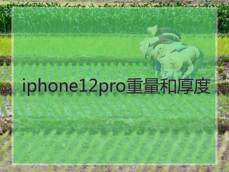 iphone12pro重量和厚度