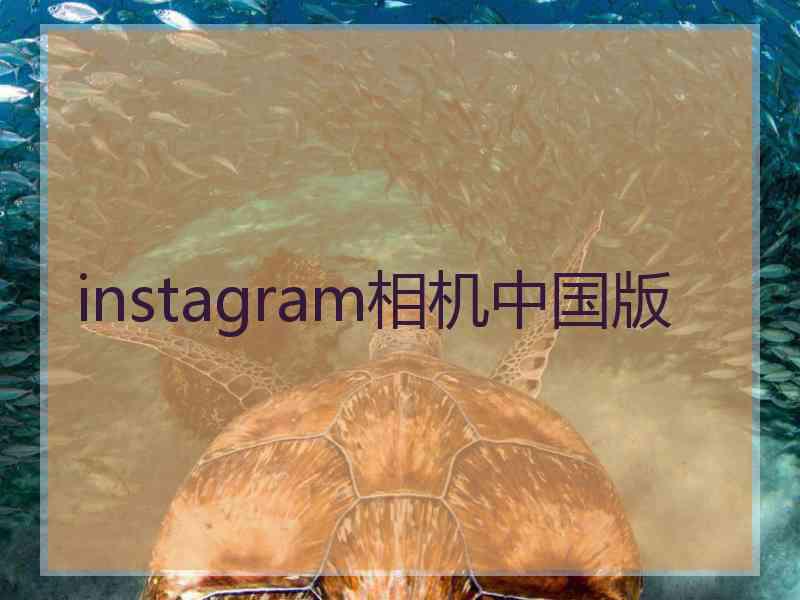 instagram相机中国版