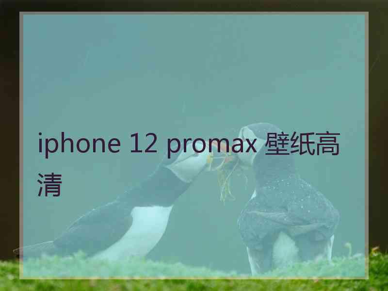 iphone 12 promax 壁纸高清