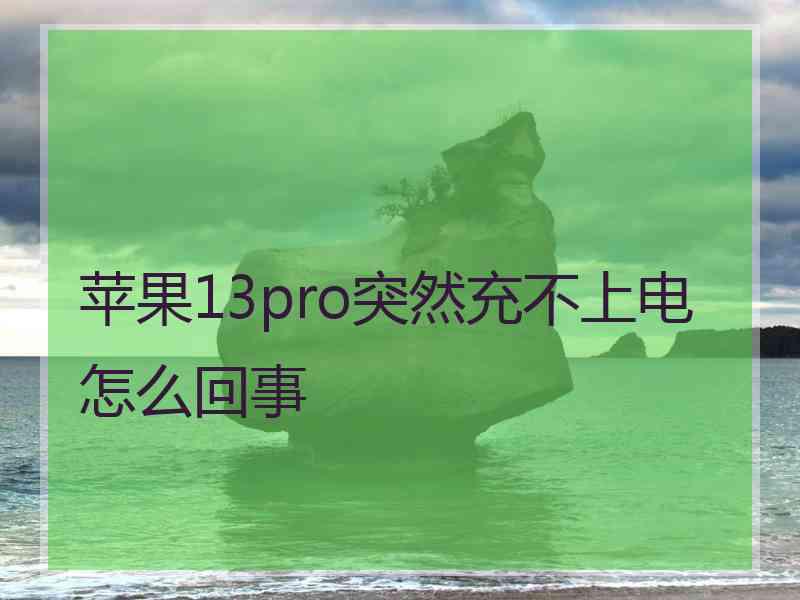 苹果13pro突然充不上电怎么回事