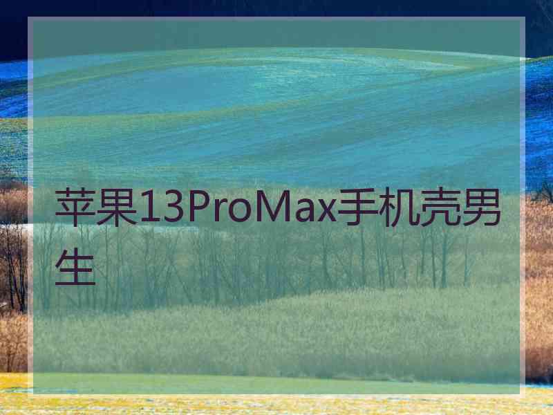 苹果13ProMax手机壳男生