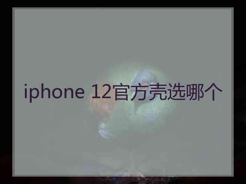 iphone 12官方壳选哪个