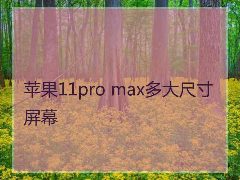 苹果11pro max多大尺寸屏幕