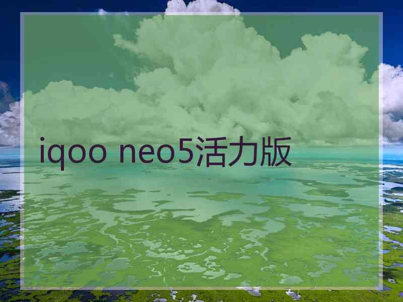 iqoo neo5活力版