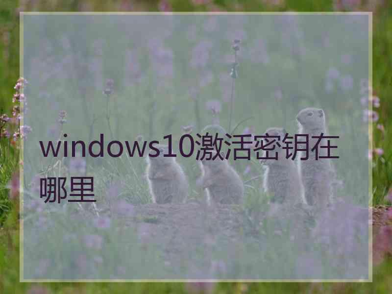 windows10激活密钥在哪里