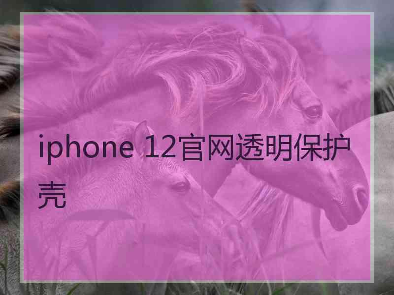 iphone 12官网透明保护壳